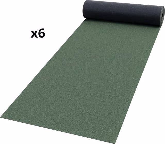Guaina impermeabilizzante ardesiata verde Casasciutta per terrazze, 6 rotoli da 1x10 m – 1