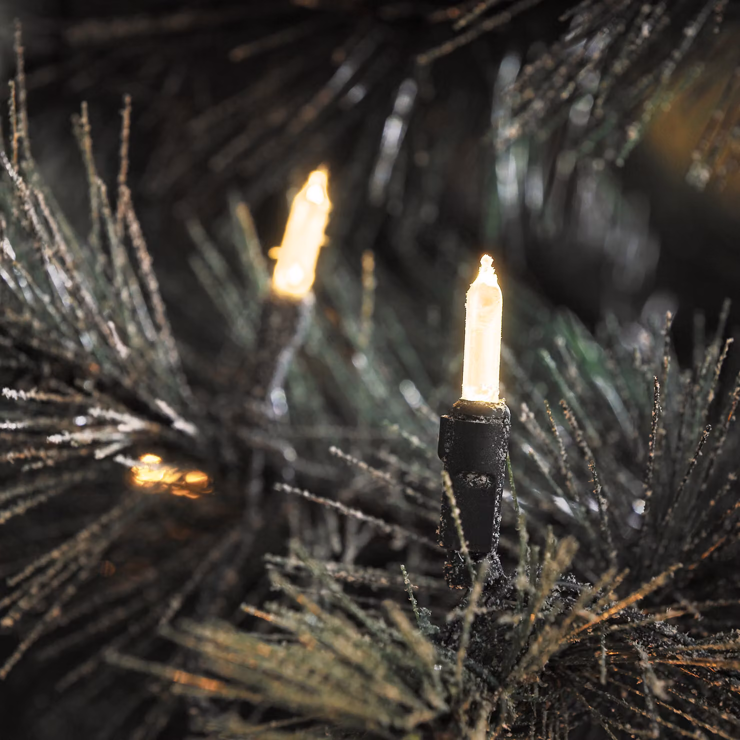 Konstsmide - Catena luminosa a LED, 304 diodi bianchi caldi, trasformatore per esterni da 24 V, cavo verde; 6080-100