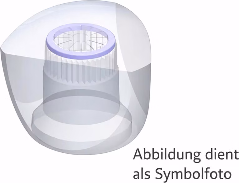 Schmiedl Schmiedl Maniglia Atmos trasparente Acqua calda U2G325-2GK, 1 pz.