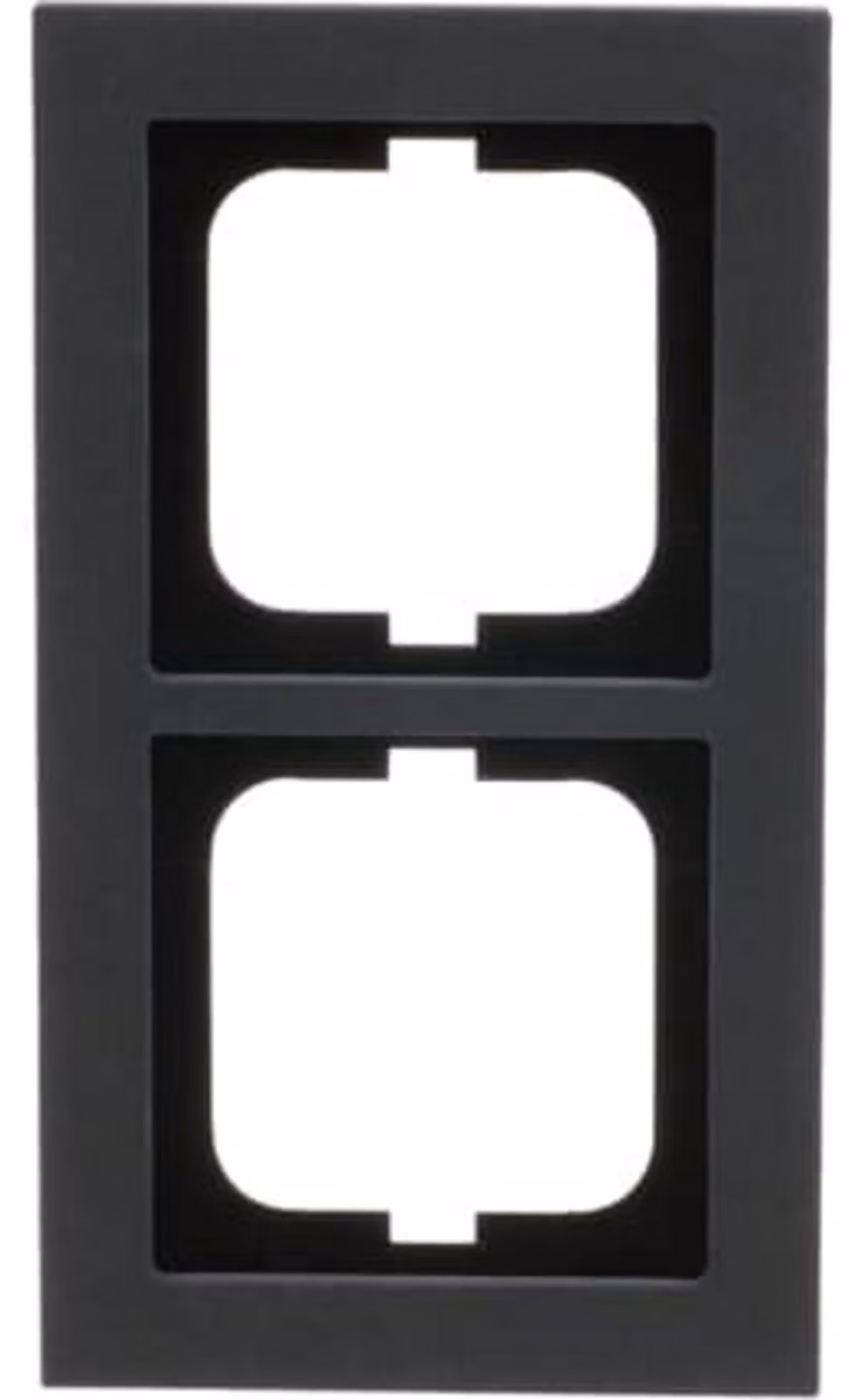 Busch-Jaeger Abdeckrahmen 2-fach 1722-290 (2CKA001754A4806)