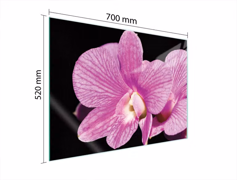 Piastra Protettiva In Vetro Per Orchidea 70X52