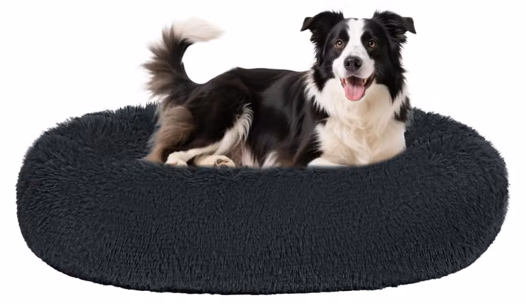 Elzusha - Cuccia per cani di colore grigio scuro con fondo antiscivolo