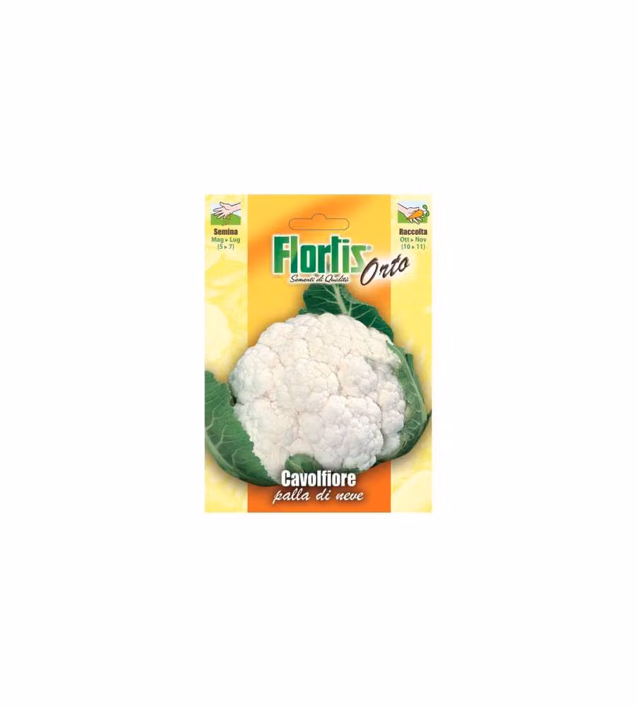 Cavolfiore Palla Di Neve