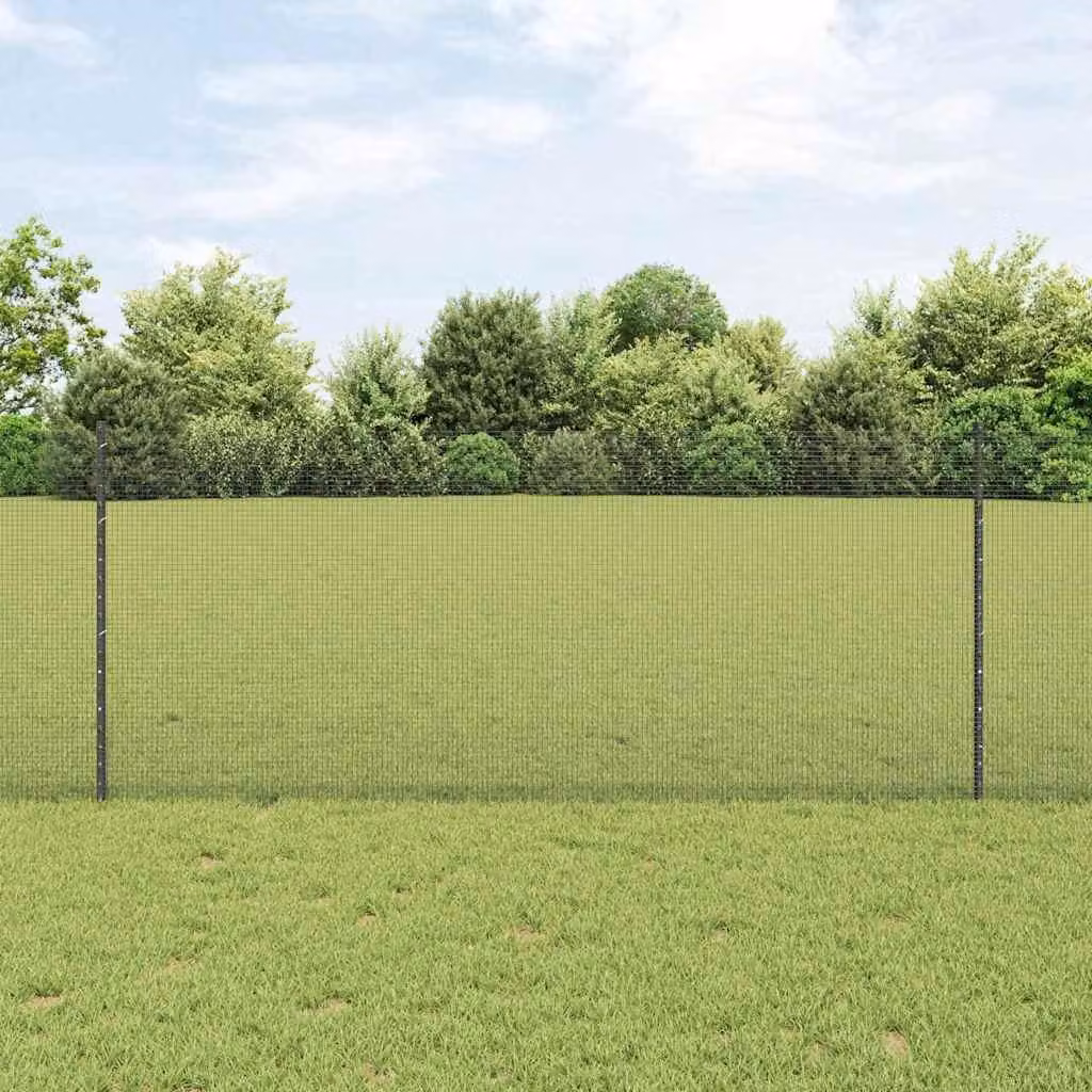 Maison Exclusive - Recinzione con Posto Grigio 1 x 10 m Acciaio