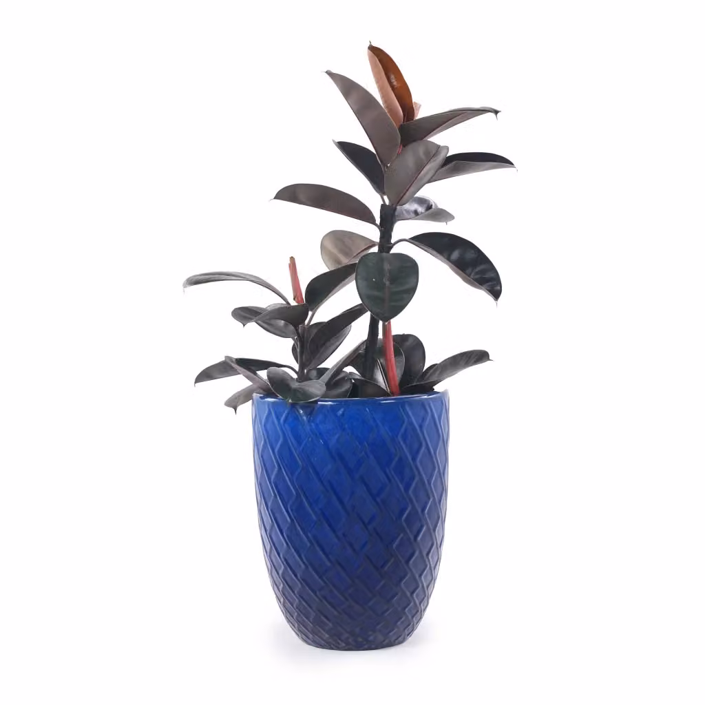 Vaso da giardino in ceramica Minimal blu reale con motivo geometrico a rombi L: 42 cm, H: 54 cm – 2