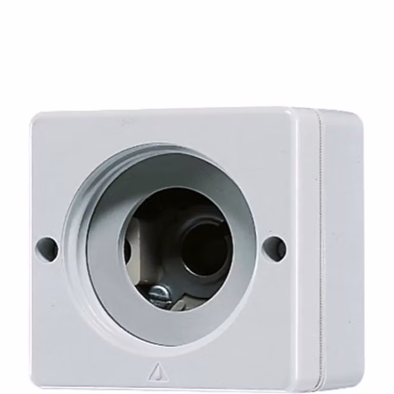 Jung 637-10W Segnalatore luminoso (senza calotta)