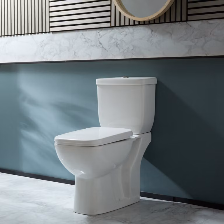 Sanitario WC Monoblocco Moderno con Sedile Soft-Close e Pulsante Cromato