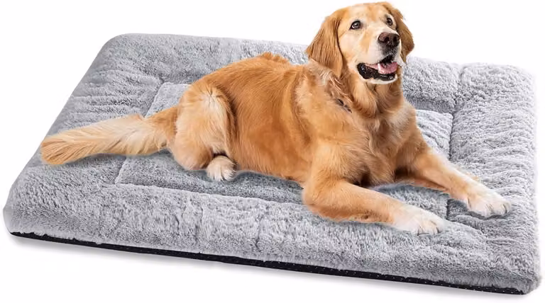 Cuccia per cani, taglia XXL, 122 x 75 cm, lavabile, con base antiscivolo, colore grigio, per uso interno