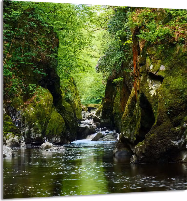 PIASTRELLE IN VETRO PER CUCINA 60x65 Foresta