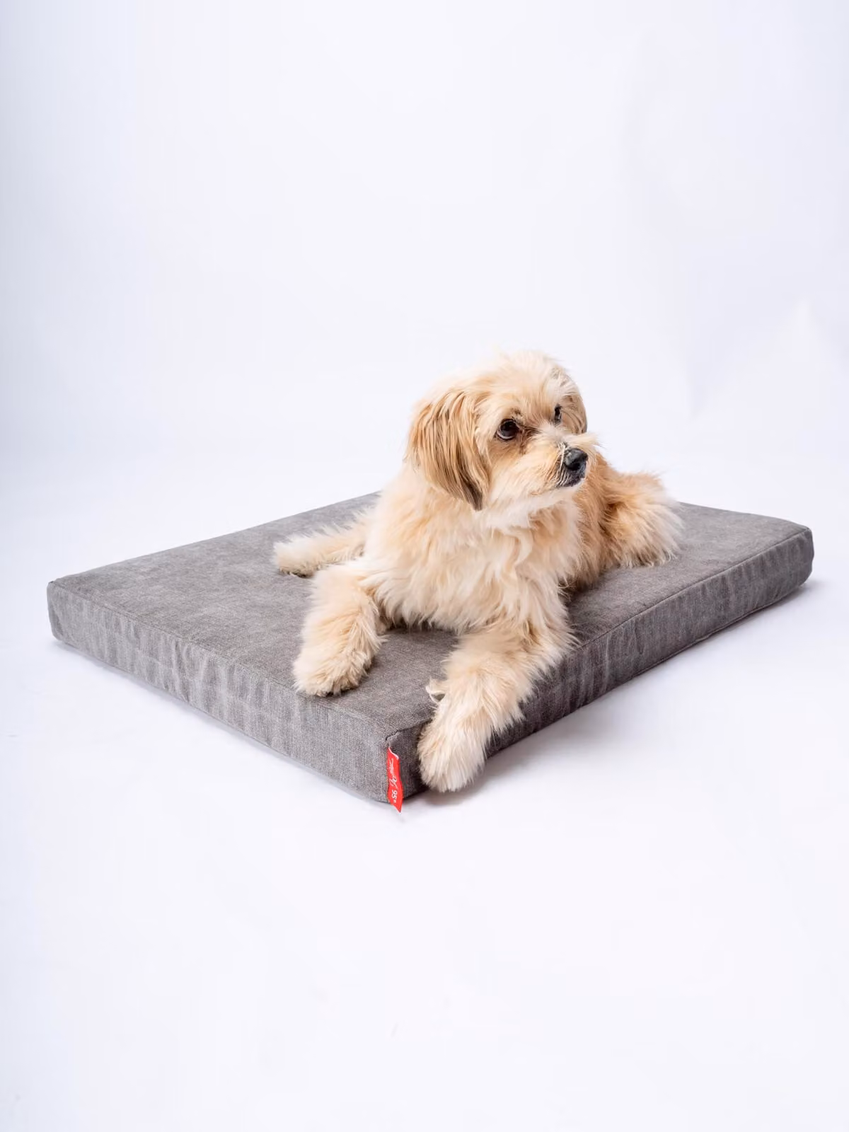 Materasso ortopedico per cani con rivestimento lavabile e fodera impermeabile