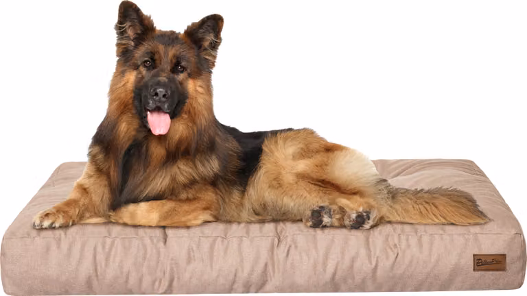 Materasso per cani "Grand Light" - 120x90cm - Cuccia idrorepellente - Rettangolare - Outdoor & Indoor | PillowPrim