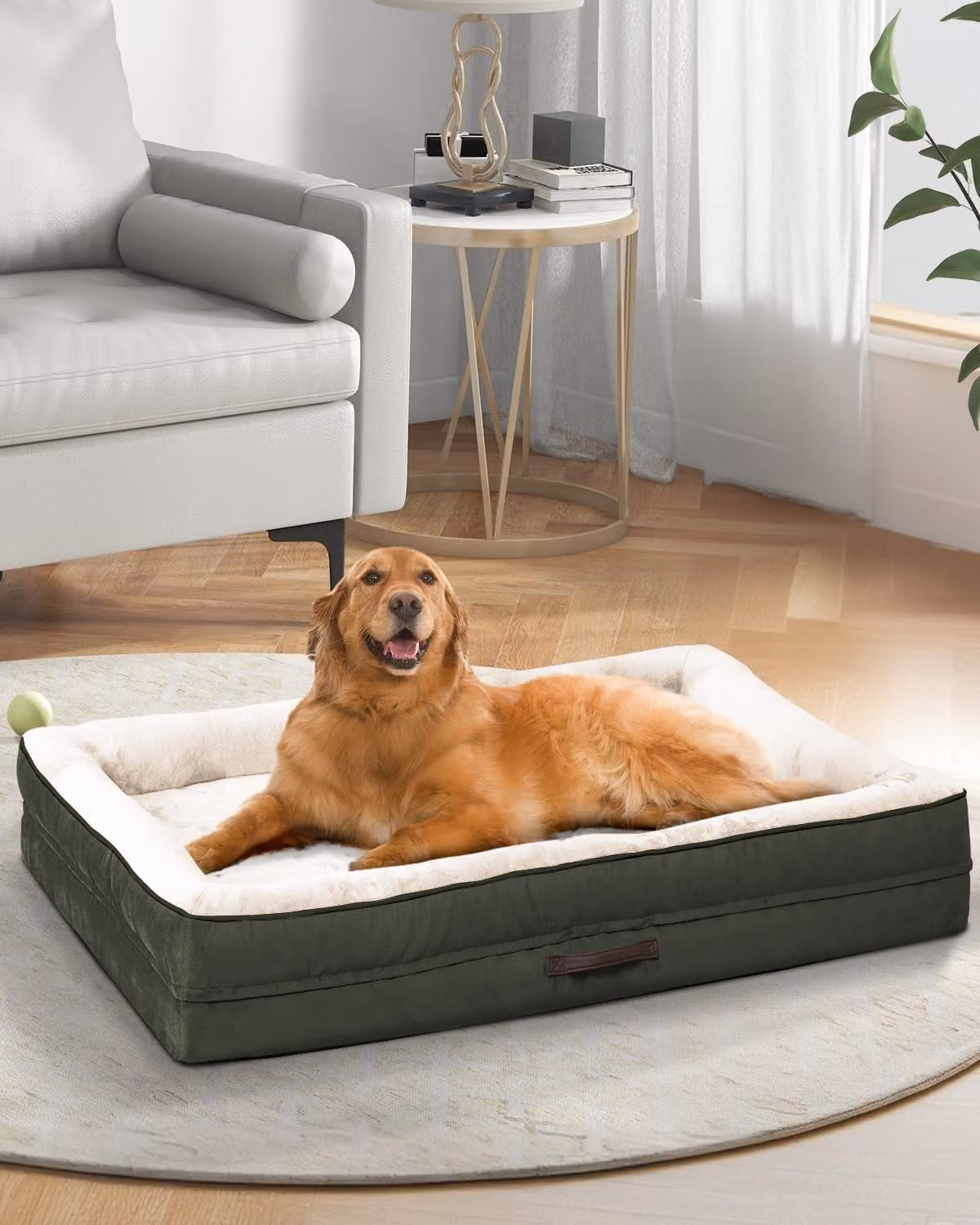 Letto ortopedico per cani, taglia XXL, lavabile, con imbottitura in schiuma a forma di uovo