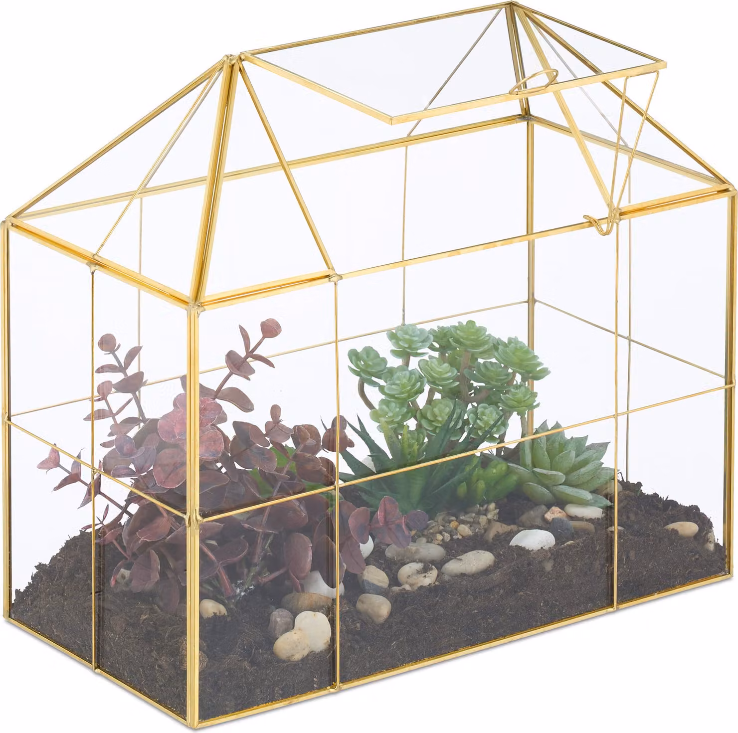 Terrario per piante Relaxdays, vetro e rame, dimensioni: 27x30x15 cm. Serra decorativa per cactus e muschio, teca in vetro da davanzale, dorata