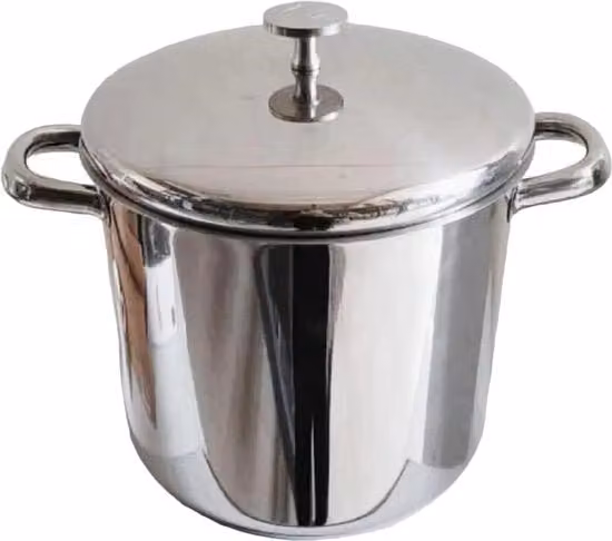 Pentola da cucina MasterClass in acciaio inossidabile argento, capacità 11 l