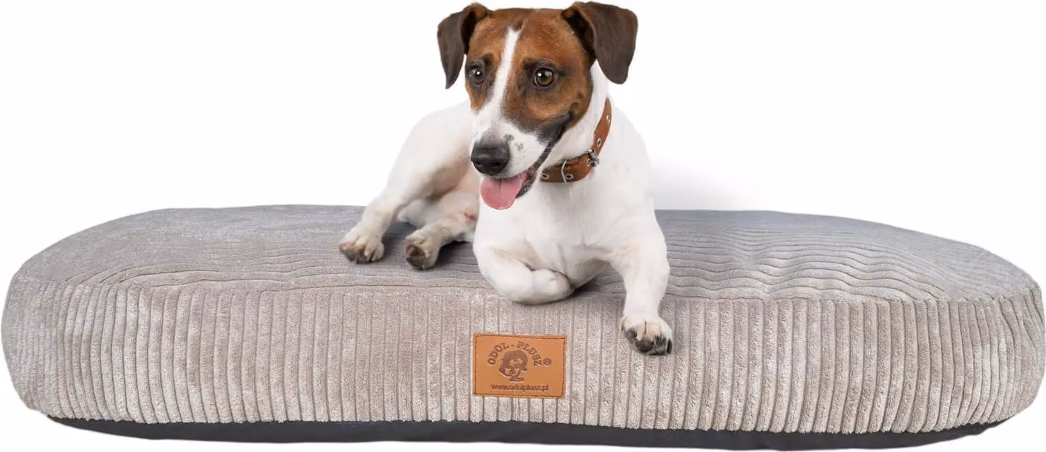 Letto ortopedico per cani Cuscino per cani Divano per gatti 110x65CM