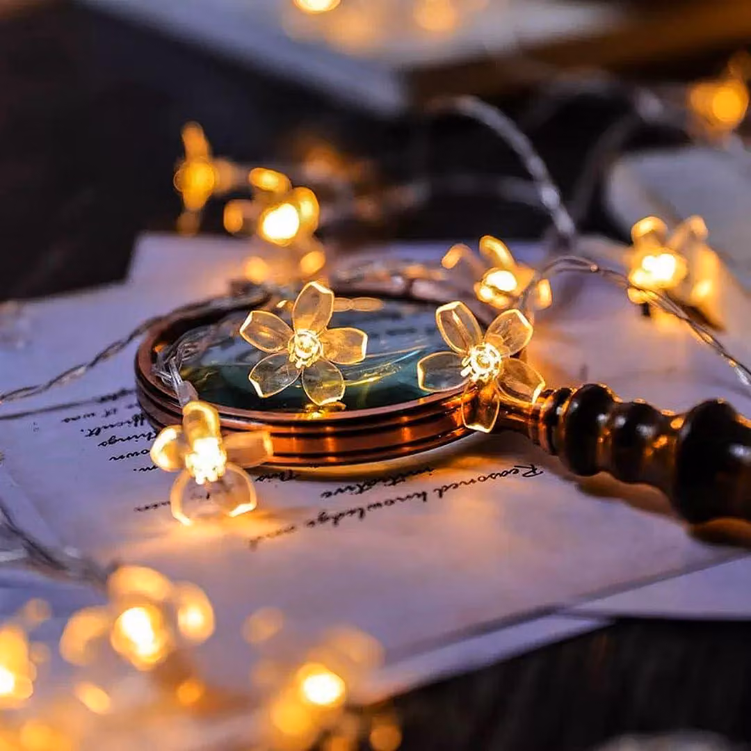 Catena luminosa a forma di fiori, 6 metri, 40 LED, alimentazione USB, luce bianco caldo