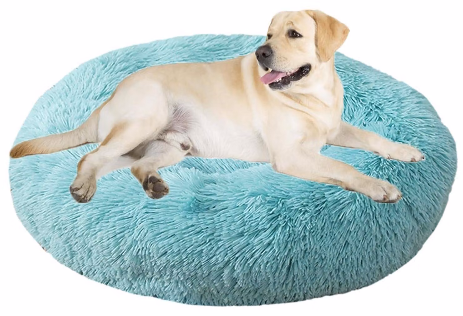 Cuccia per cani, cuccia per gatti, forma a ciambella, rotonda, lavabile, diametro 70 cm, verde smeraldo