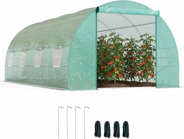 Serra da Giardino Tunnel con Finestre ¨C Minimal ¨C 6x3x2 m Verde Acciaio PE