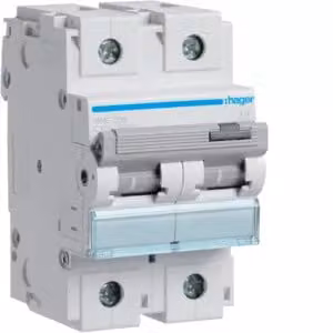 Interruttore automatico bipolare 15 kA, curva C, 100 A, 3 moduli