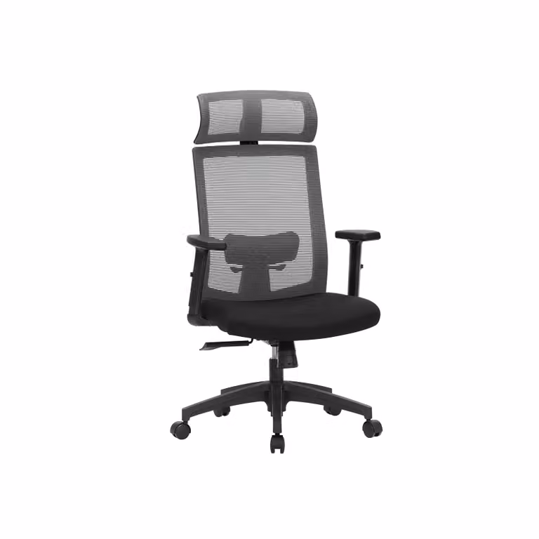 Sedia da Ufficio Ergonomica Poltrona in Rete per Computer, Grigio Scuro