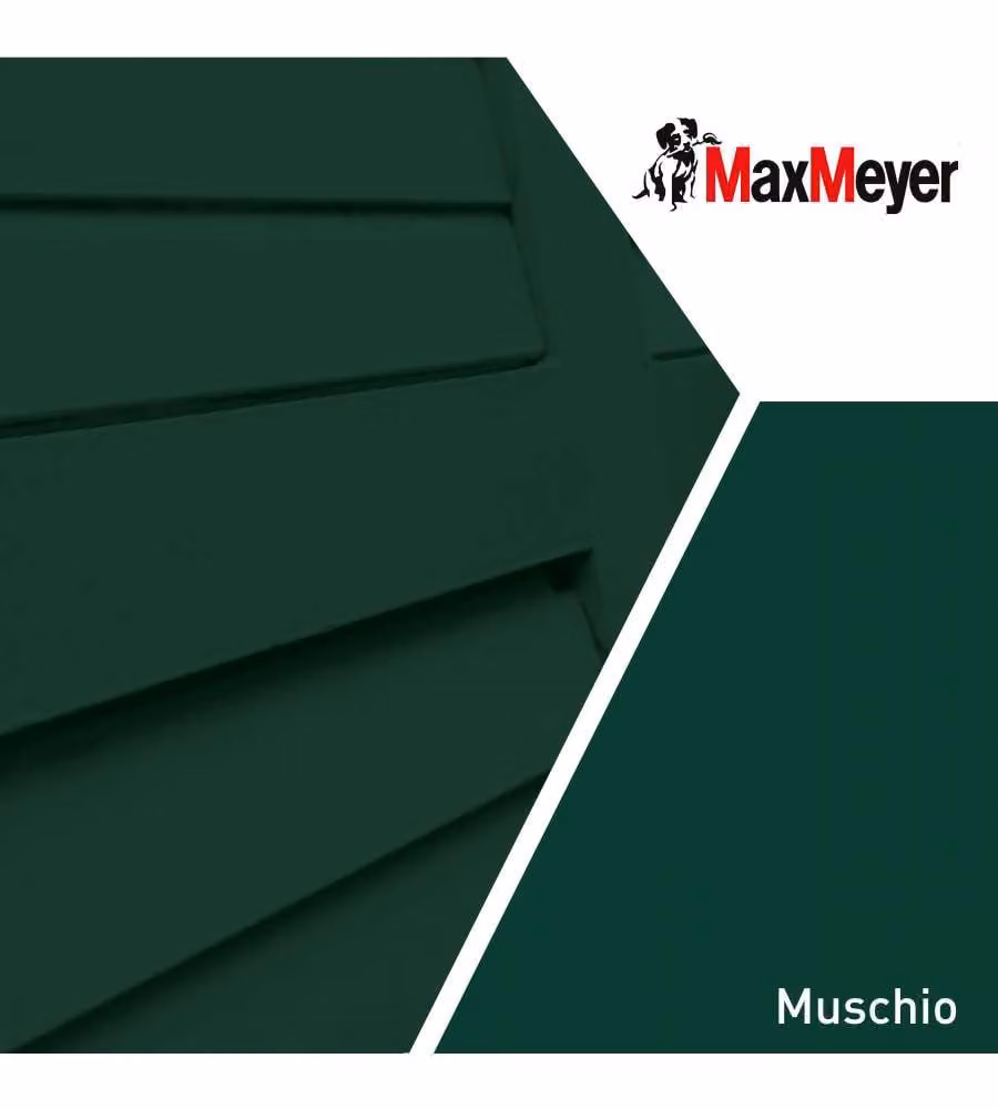 MaxMeyer Smalto a Solvente Satinato Muschio R6005 0,750 l
