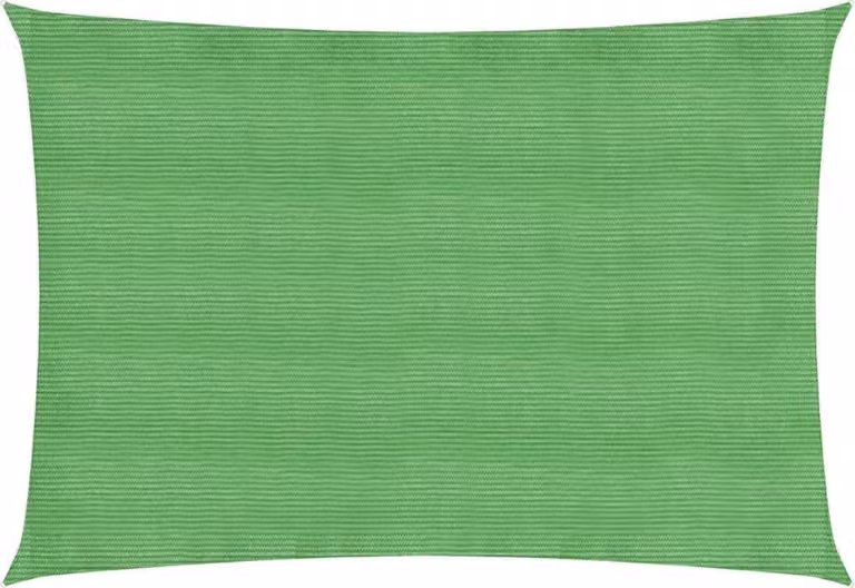 The Living Store Tenda da sole 160 g/m² Verde chiaro 2,5x4 m HDPE