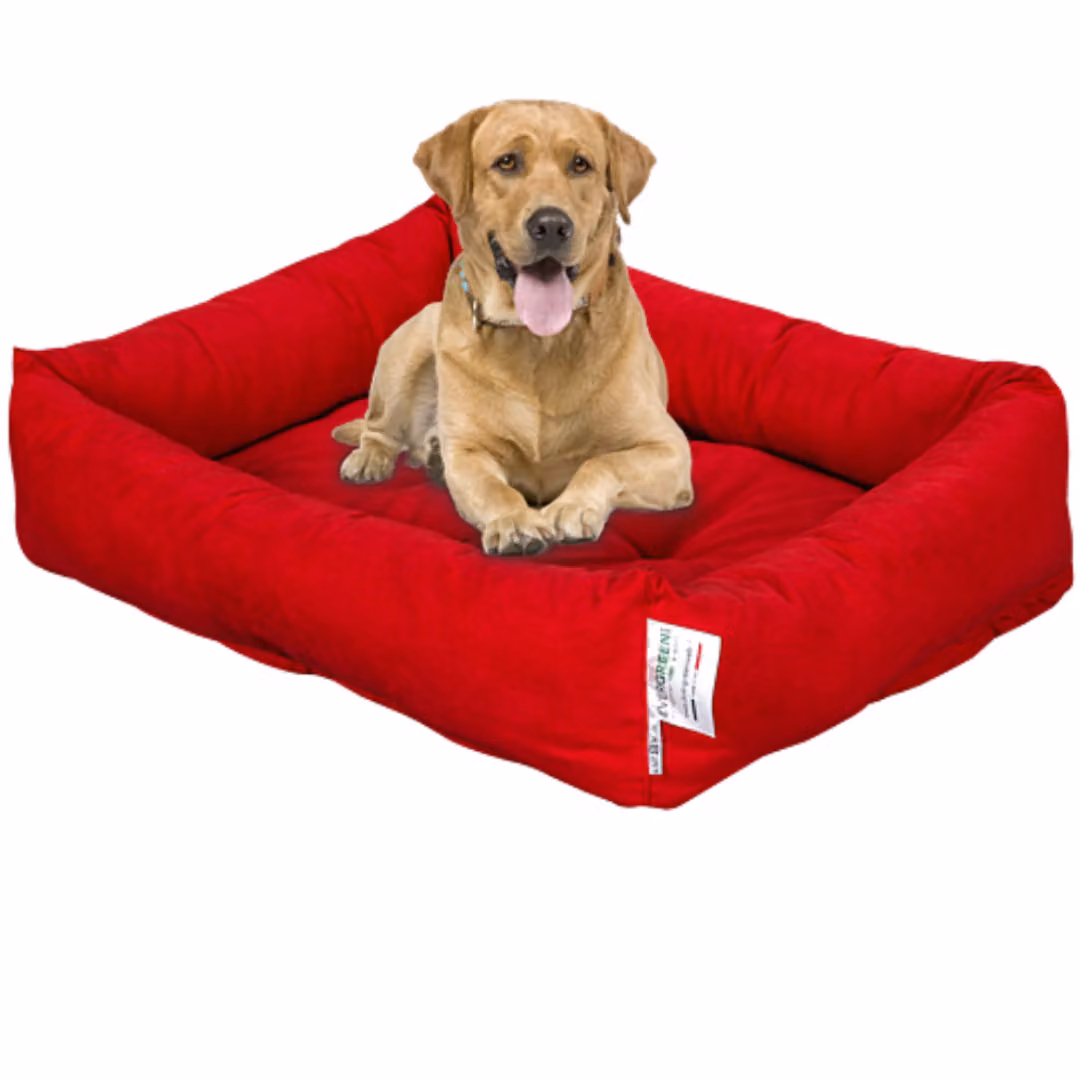 Materassino per Cani color Rosso REX 65x85 cm