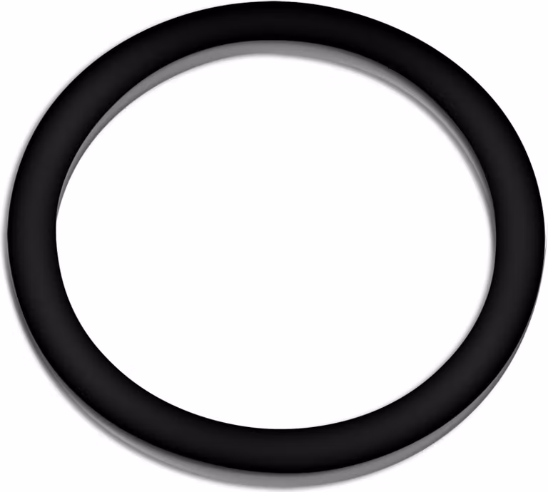 Ricambio Sun Sun per chiarificatore per laghetti CUV-636 - anello in gomma - per filtri per laghetti, lampade UV, accessori per chiarificatori UVC
