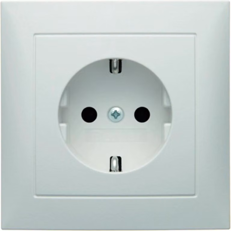 Presa Schuko Berker pws/matt con piastra di copertura 47429909