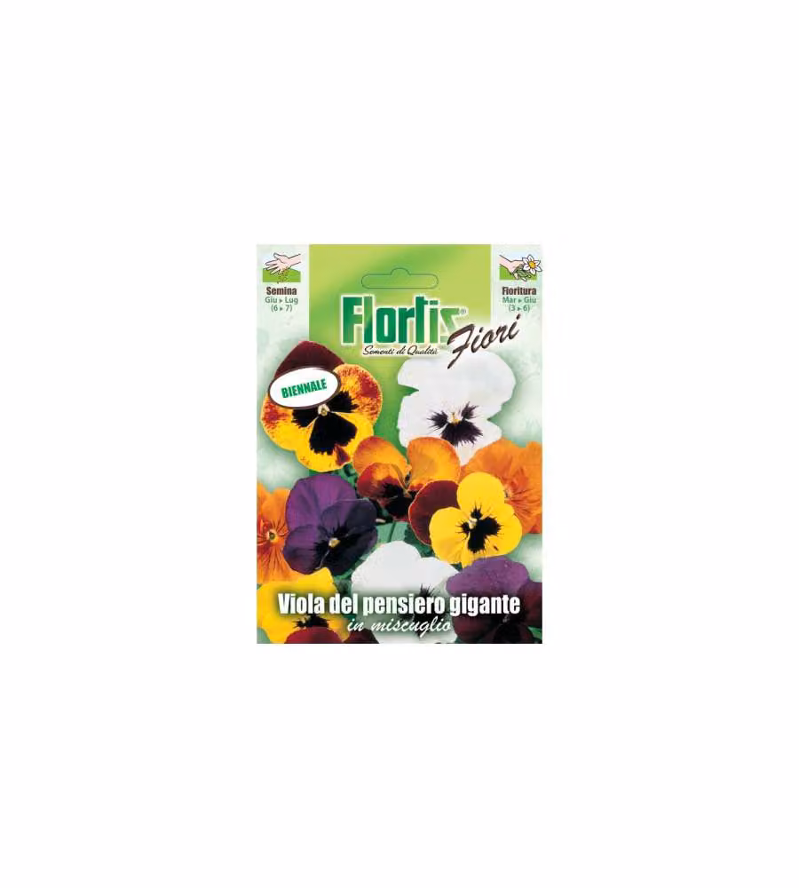 Sementi Fiori Viola del Pensiero - Pronte per Semina