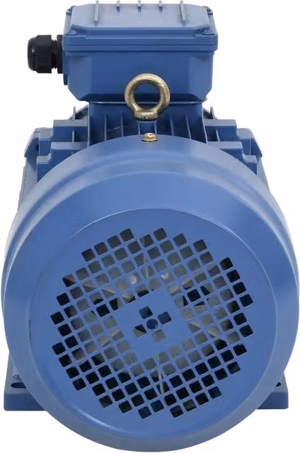 Motore Elettrico Trifase in Alluminio 4kW/5,5HP 2 Poli 2840 RPM 148006