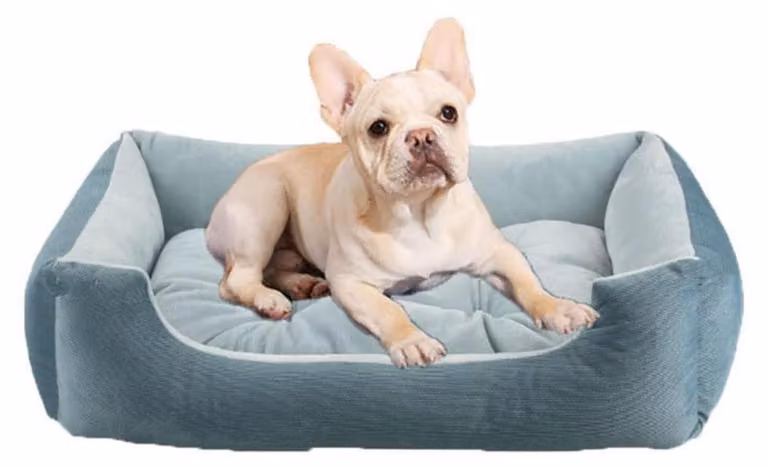 Cuccia per cani, forma rettangolare, rivestimento removibile e lavabile, antiscivolo, colore blu, dimensioni L: 60x42x14 cm