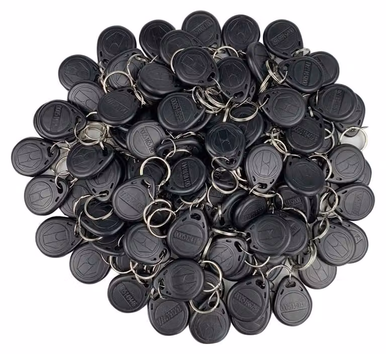 100 portachiavi RFID da 125 kHz, modello EM4100, colore nero, solo lettura