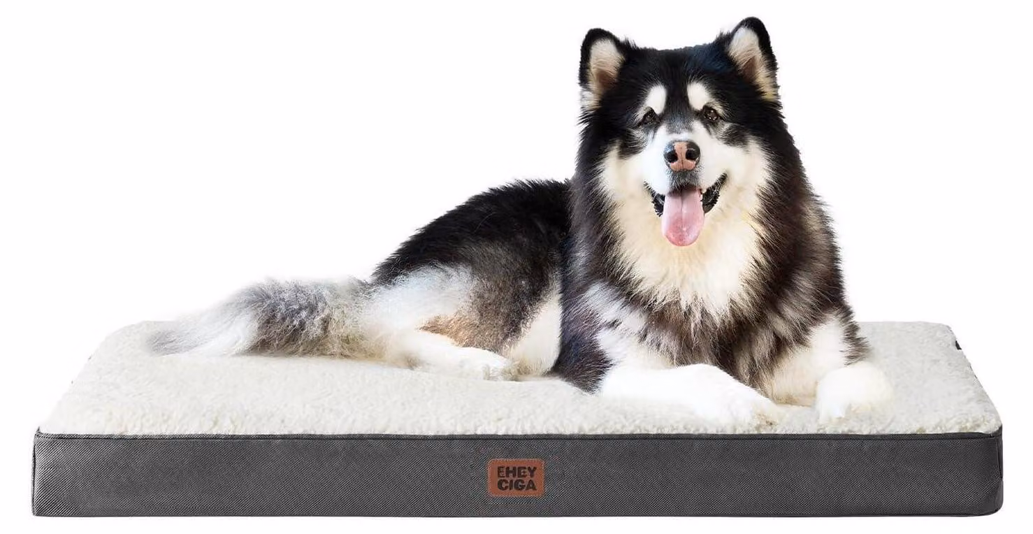 Cuccia ortopedica per cani, taglia XXL, 120x74 cm, lavabile, color beige