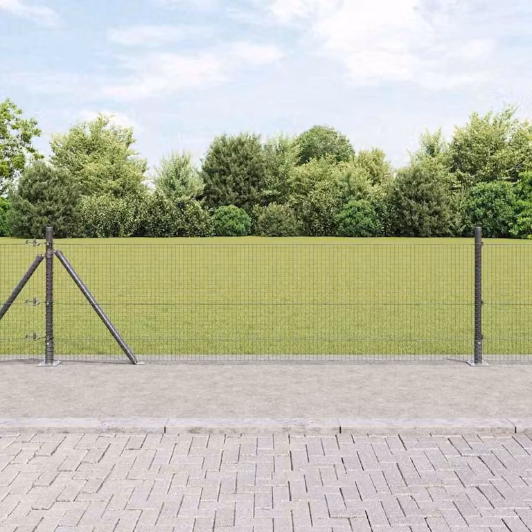 Maison Exclusive - Palo della recinzione Grigio 50 x 0,5 m (rete mesh 19 x 19 mm)