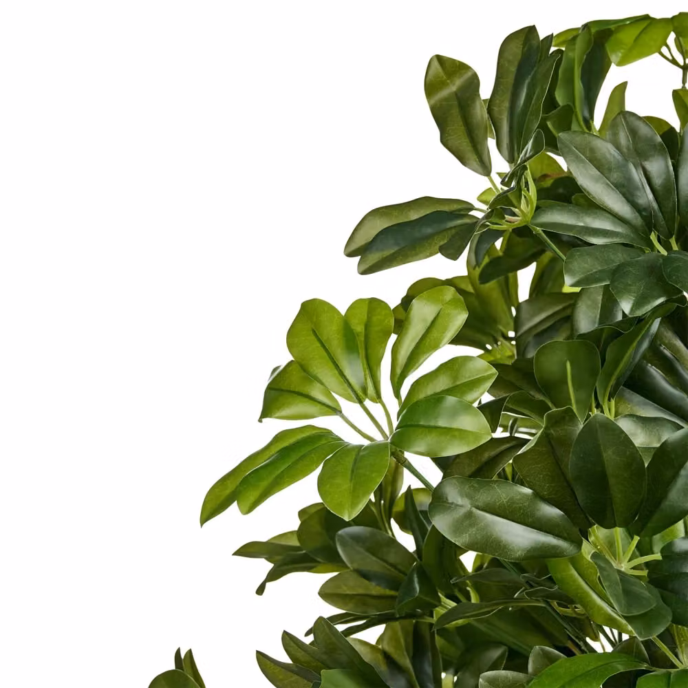 Albero a ombrello artificiale BELIANI verde in materiale sintetico con vaso, Altezza: 175 cm – 2