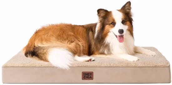 Letto per cani di taglia XL, 104x68x9 cm, lavabile, base per cani con morbido cuscino, materasso per cani da divano, colore militare kaki