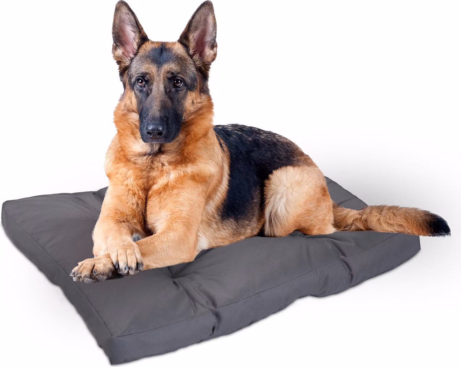 Lettino per cani Relaxdays, 110 x 90 cm, morbido cuscino per cani di grossa taglia, impermeabile, lavabile, tappetino per cani, cuccia, grigio