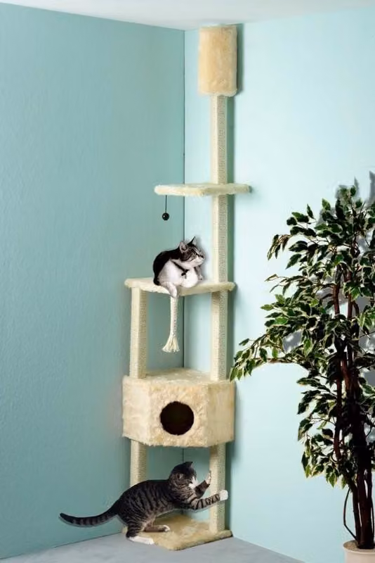 Albero per graffiare per gatti, color beige
