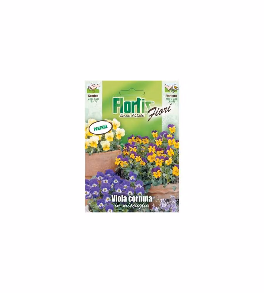 Sementi Fiori Viola Cornuta Mix - Pronte per Semina