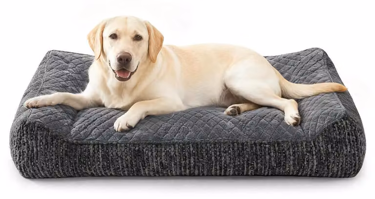 Cuccia ortopedica per cani, colore grigio, dimensioni 97x71x22 cm. Lavabile, ergonomica, antiscivolo