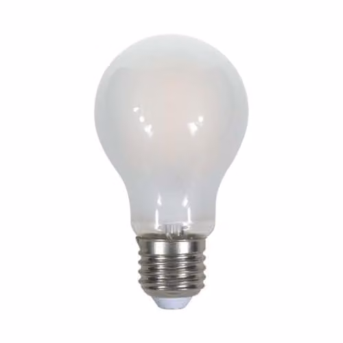 Lampadina LED E27 10W 110LM/W A67 Filamento Satinato 6400K