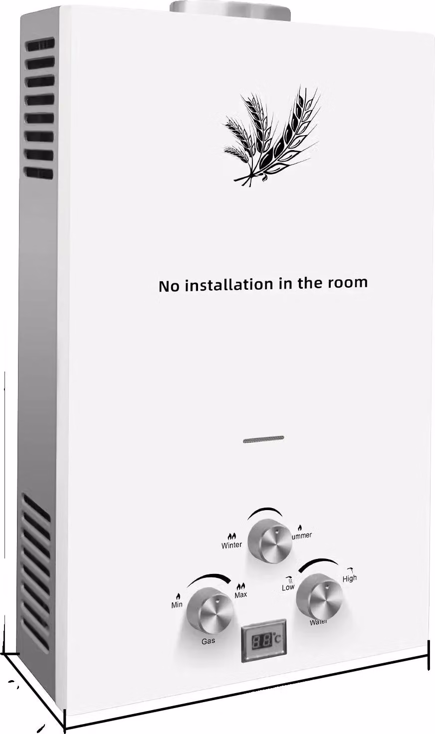 Scaldabagno, fornitura infinita di acqua calda, design compatto per montaggio a parete, altro-a, 20 kW 10 L