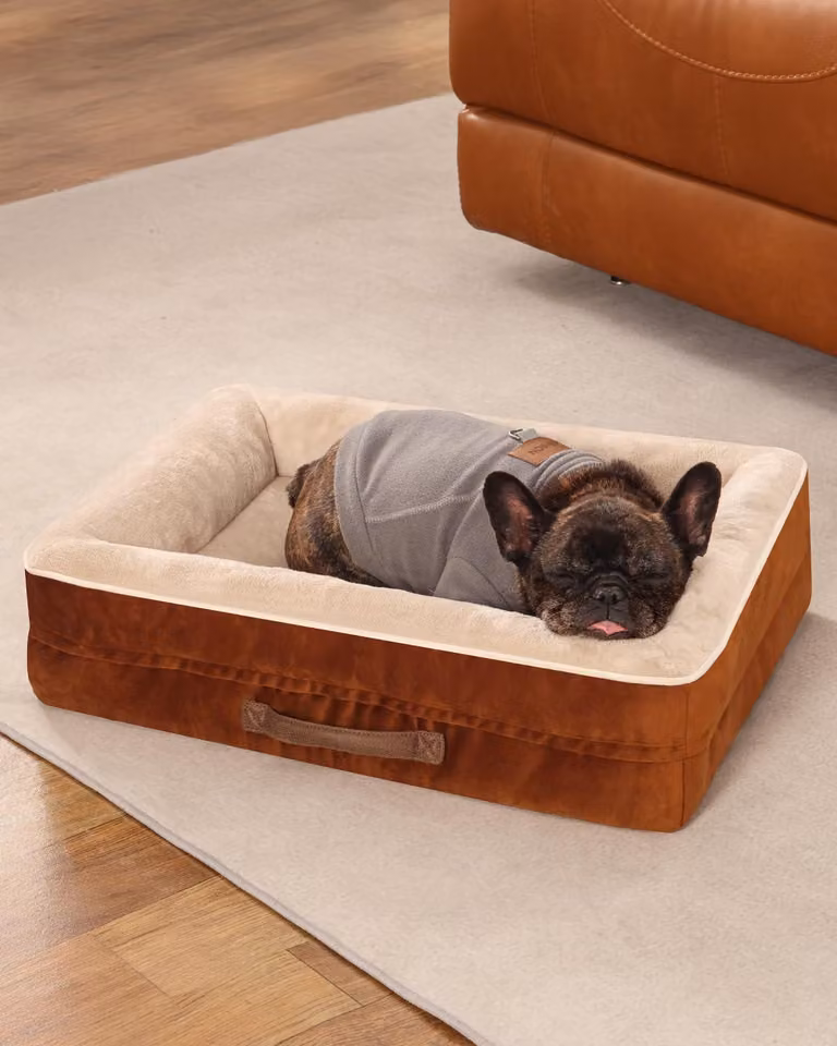 Cuccia per cani, dimensioni 61 x 46 x 15 cm, realizzata in schiuma viscoelastica, impermeabile, con base antiscivolo, colore marrone, ideale per il riposo