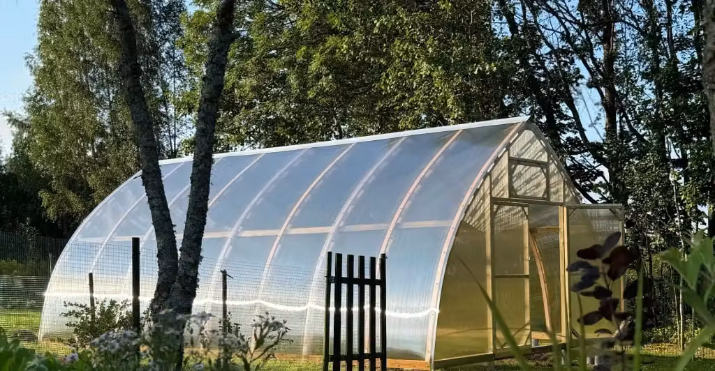 Serra da giardino Arched Wood in legno con rivestimento in policarbonato trasparente e doppie porte, L: 6 m, P: 5 m – 2
