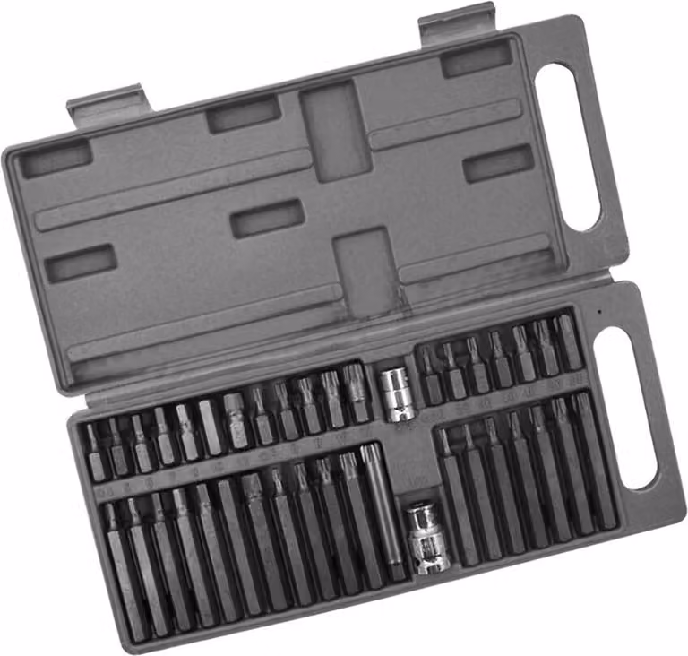Set completo di punte HSS, torx, allen (40 pezzi)