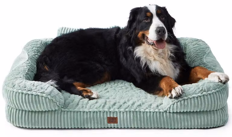 Cuccia ortopedica per cani, taglia grande, 114x89x20 cm, colore verde giada