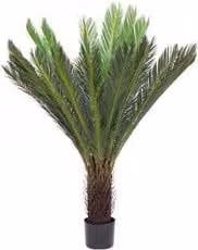 Pianta artificiale Palma Cycas verde Bizzotto con 28 foglie, Altezza: 120 cm