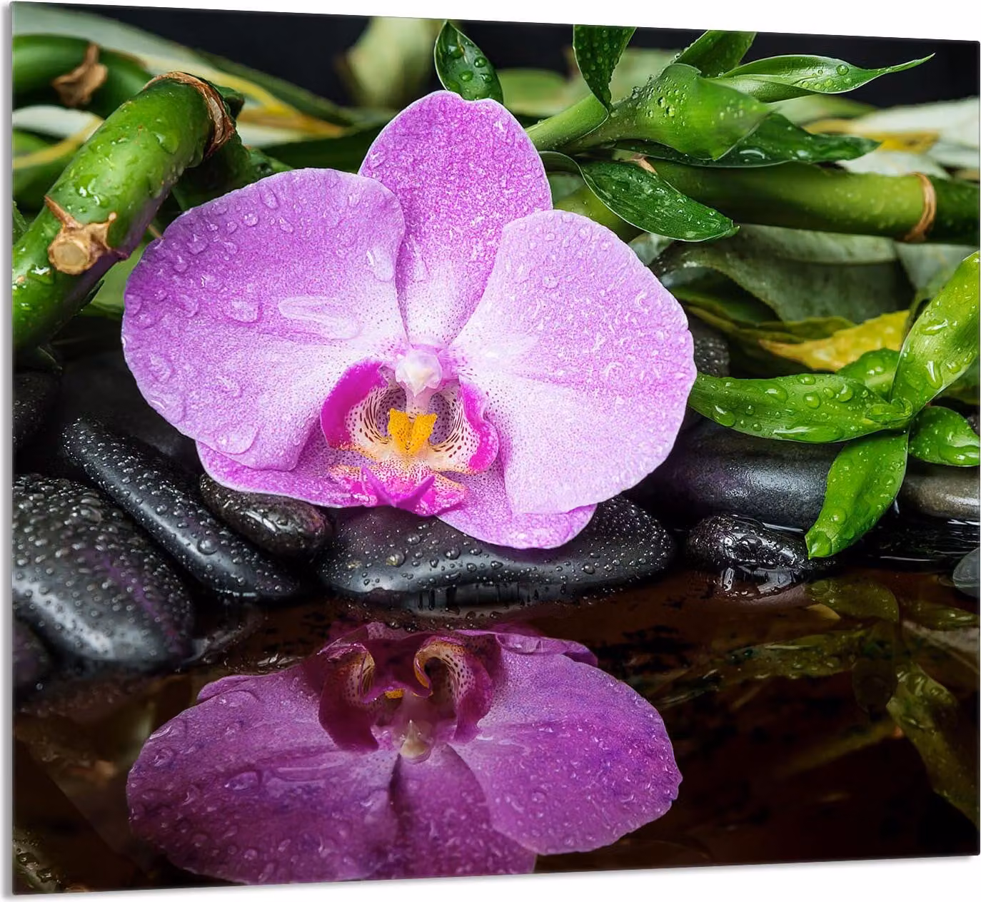 PIATTO DI VETRO PER CUCINA 65x60 Orchidea