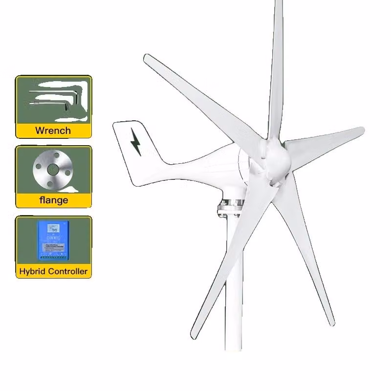 3000W Piccolo generatore eolico, 5 pale, energia eolica 12V/24V/48V, 12VOggetti Controllore ibrido